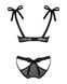 Напівпрозорий еротичний комплект Obsessive Obsessivia 2-pcs set black L/XL, бюстгальтер та трусики, SO7298 фото 6