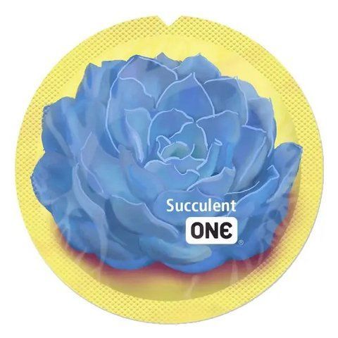 One Pleasure Dome One-4 фото