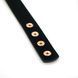 Нашийник із затискачами для сосків Liebe Seele Rose Gold Memory Collar with Nipple Clamps SO9495 фото 7