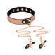 Нашийник із затискачами для сосків Liebe Seele Rose Gold Memory Collar with Nipple Clamps SO9495 фото 8
