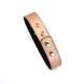 Нашийник із затискачами для сосків Liebe Seele Rose Gold Memory Collar with Nipple Clamps SO9495 фото 11